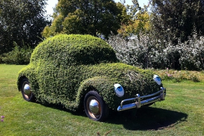 Wegen des ESG Hypes gibt es viel zu viele grüne Mäntelchen.