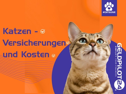 Katzen, Versicherungen und Krankheit Katzen, Versicherungen und Krankheit
