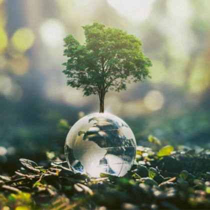 Nachhaltigkeit in der Finanzbranche