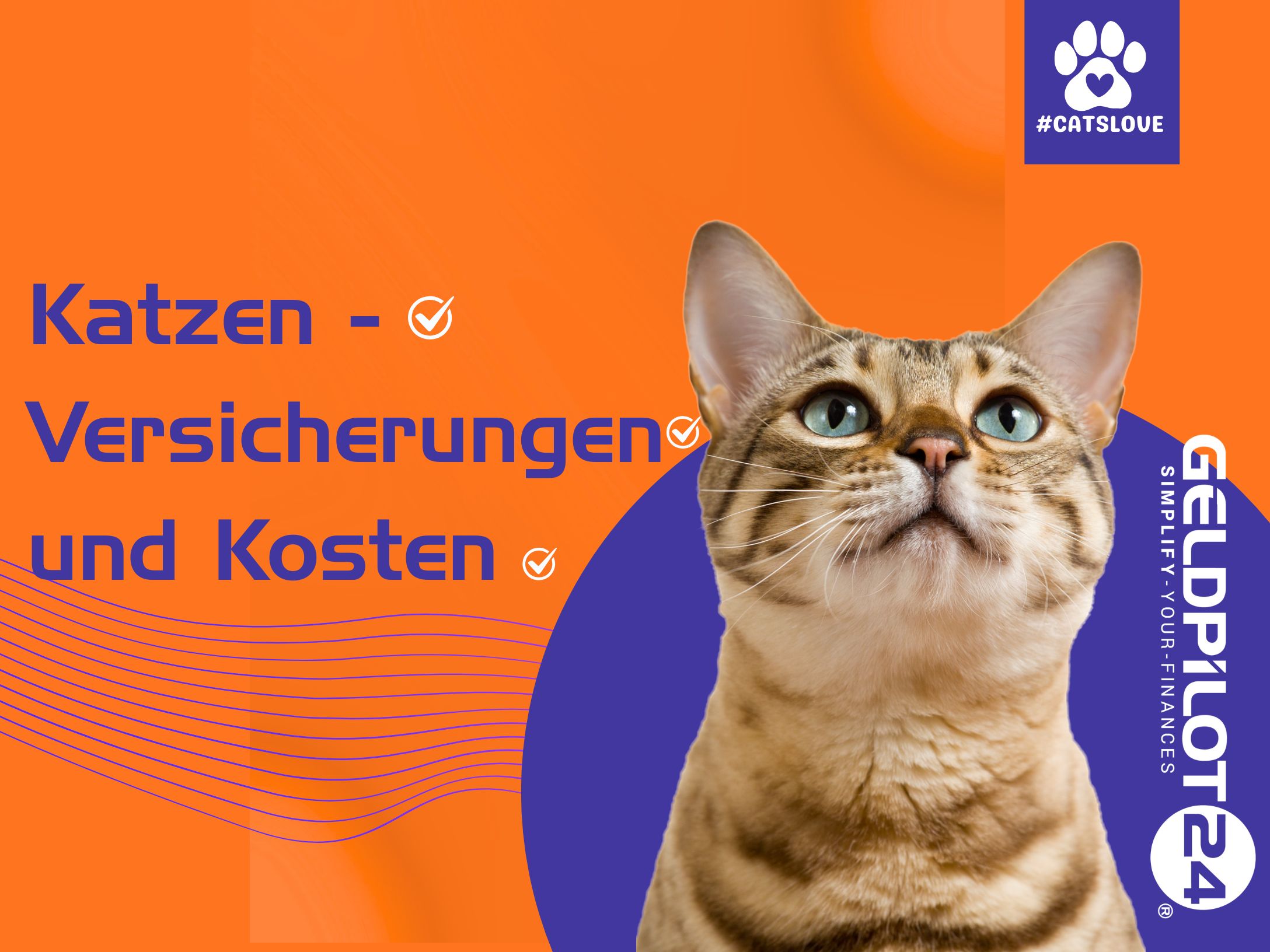 Katzen, Versicherungen und Krankheit